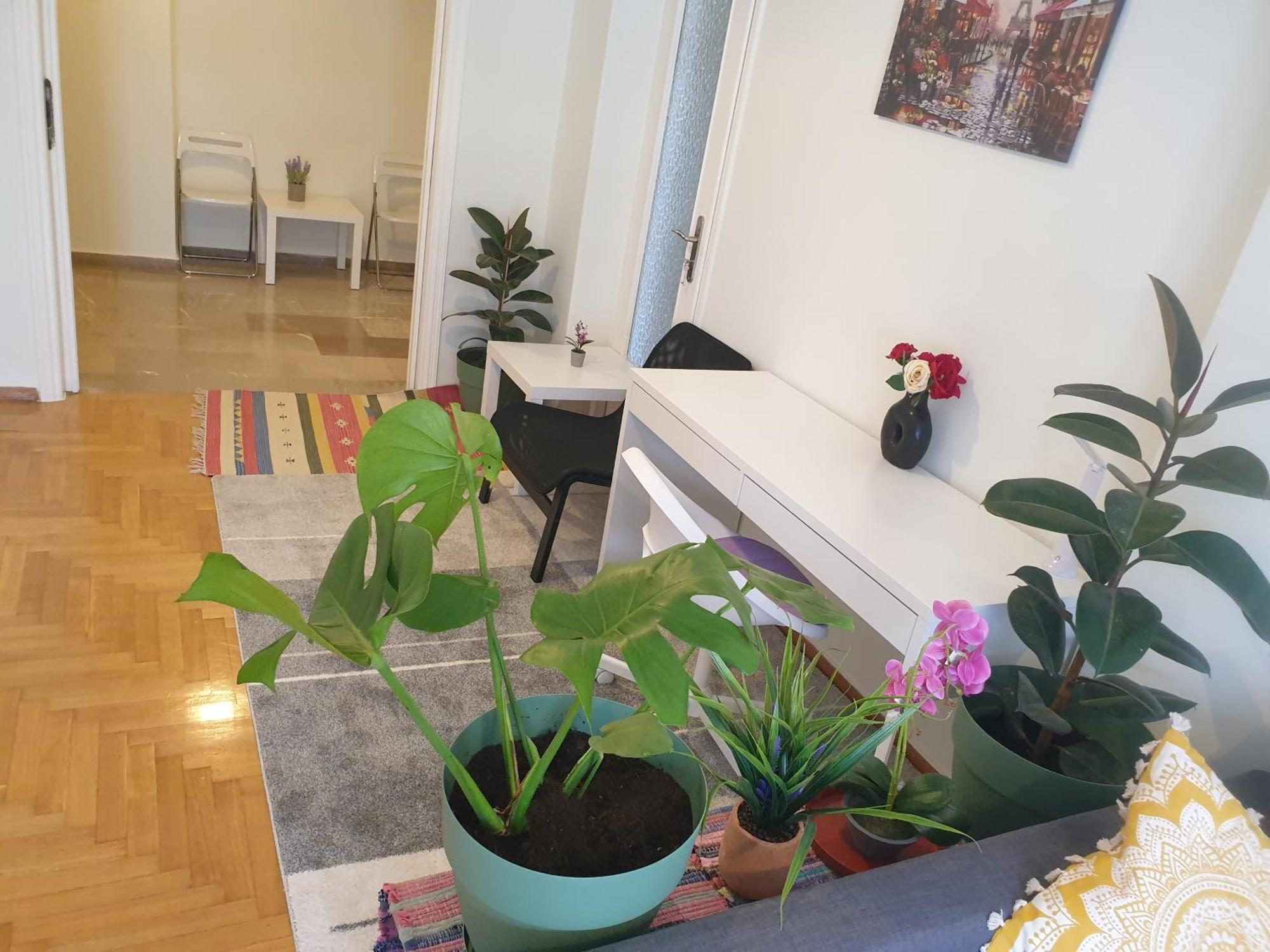 Lavender-ryan Spacious For Live And Work In Heart Of Apartment