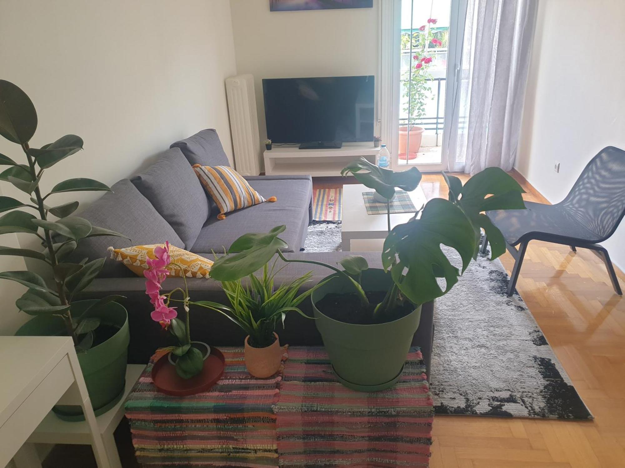 Apartment Lavender-ryan Spacious For Live And Work In Heart Of Athen